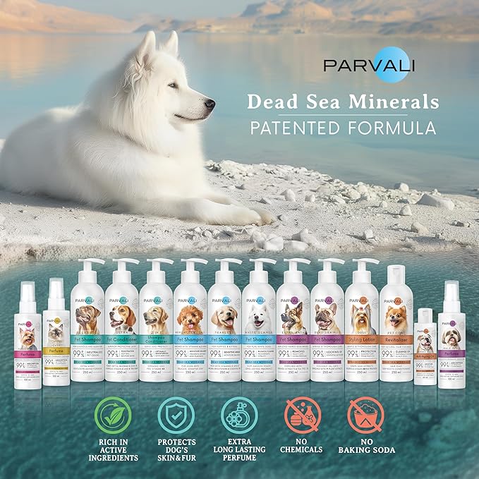 Natural Dead Sea White Glamor Pet Shampoo (250 ml, 8.45 fl oz). Gentle Bleaching for White Fur Breeds. Silky-Touch, Minerals Rich, Extra-Scented Formula for Gentle and Easy Application. Enjoy!