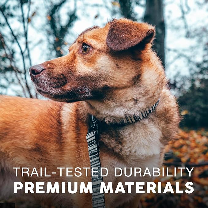 Embark Urban Dog Collar – Dog Collar Stylish & Durable Nylon Dog Collar for Large Dogs, Small Dogs & Medium Dogs.Comfortable Pet Collar Strong Buckles for Any Size Breed (Lunar, Large)