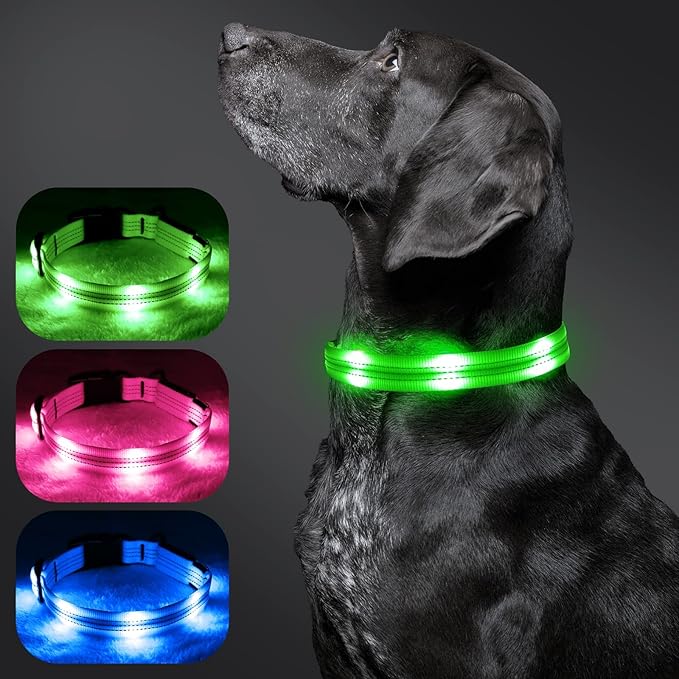 LED Dog Collar - USB Rechargeable Light Up Dog Collar Lights, Adjustable Comfortable Soft Safety Dog Collar for Night Walking (Green, Medium)