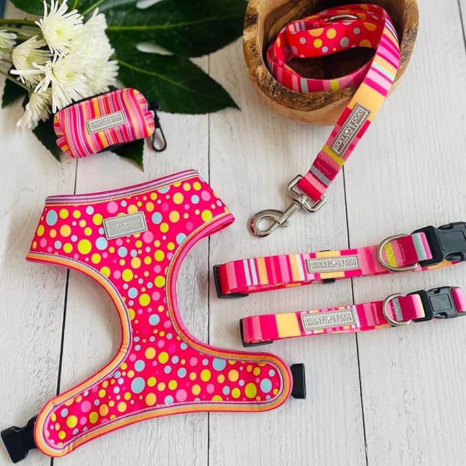 Lucky Love Dog, Colorful Stripes Dog Collar, Yellow, Pink, Blue Color Dog Collar, Cute Dog Collar for Girl Dogs - (Extra Large, Molly Collar)