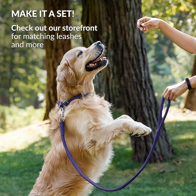 CollarDirect Rolled Leather Dog Collar, Soft Padded Round Puppy Collar, Handmade Genuine Leather Collar Dog Small Large Cat Collars 13 Colors (13-16 Inch, Purple Smooth)