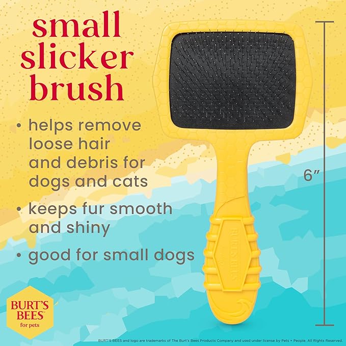 Burt’s Bees for Pets Small Slicker Brush for Dogs with Thick or Curly Hair with Handle Made from Recycled Plastics Collected from Coastal Communities | De-Shedding Dog Brush Removes Knots and Matting