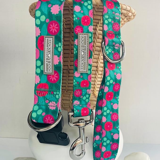 Lucky Love Dog Martingale Collar and Leash Set, Premium No Slip Collars for Dogs, Martingale Collar for Small Girl Dogs, Great for Whippets, Greyhounds, and More (Penny, Small - Combo)