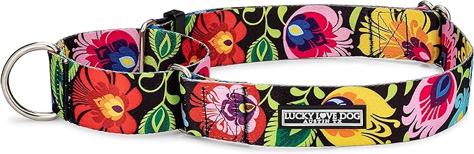 Lucky Love Dog Wide Martingale Dog Collar - No-Slip, Durable, & Soft Webbing 1.5 inch Martingale Collar for Dogs Male and Female - Ideal for Training & Walking, Stylish Blackbird Pattern, Medium Size