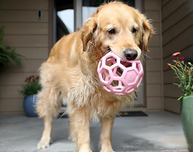 JW Pet HOL-ee Roller™, Dog Toy Puzzle Ball, Natural Rubber, Large (5.5” Inch Diameter), Pink