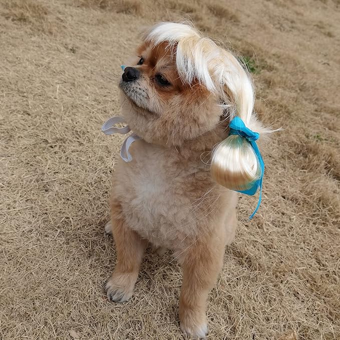Funny Dog Cat Cosplay Wig, Pet Wigs for Halloween, Christmas, Parties, Festivals, Dog Wigs for Small Medium and Large Dogs(Golden Braid)