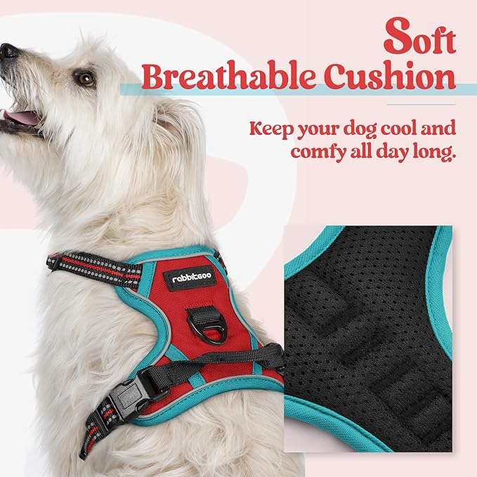 rabbitgoo Dog Harness, No-Pull Pet Harness with 2 Leash Clips, Adjustable Soft Padded Dog Vest, Reflective No-Choke Pet Oxford Vest with Easy Control Handle for Large Dogs, Red & Teal, X-Small