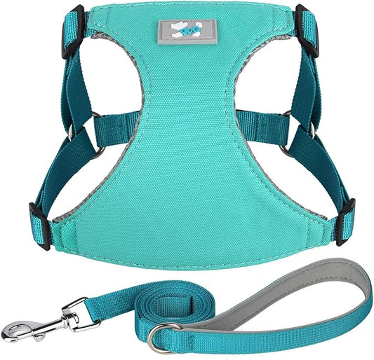 Beirui Small Dog Harness and Leash Set, No Pull Step-in Harness for Puppy, Lightweight Air Mesh Pet Harness for Small Dogs (Blue, XS)