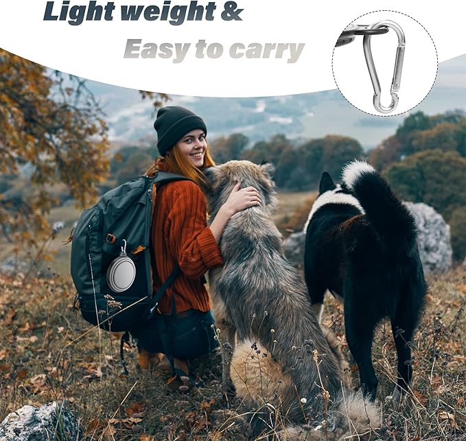 Dog Bowl Pet Collapsible Bowls, 2 Pack Collapsible Dog Water Bowls for Cats Dogs, Portable Pet Feeding Watering Dish for Walking Parking Traveling with 2 Carabiners (Small, Purple & Concrete Gray)