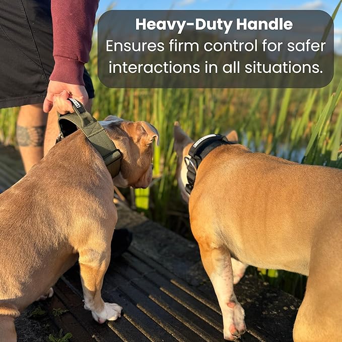 BULLYBREED Premium Dog Colar with Handle, Heavy Duty Dog Collar, Tactical Dog Collar, Quick-Release Metal Buckle, Thick Dog Collar, Dog Collar for Medium Dogs, Dog Collar for Large Dogs (Tan, M)
