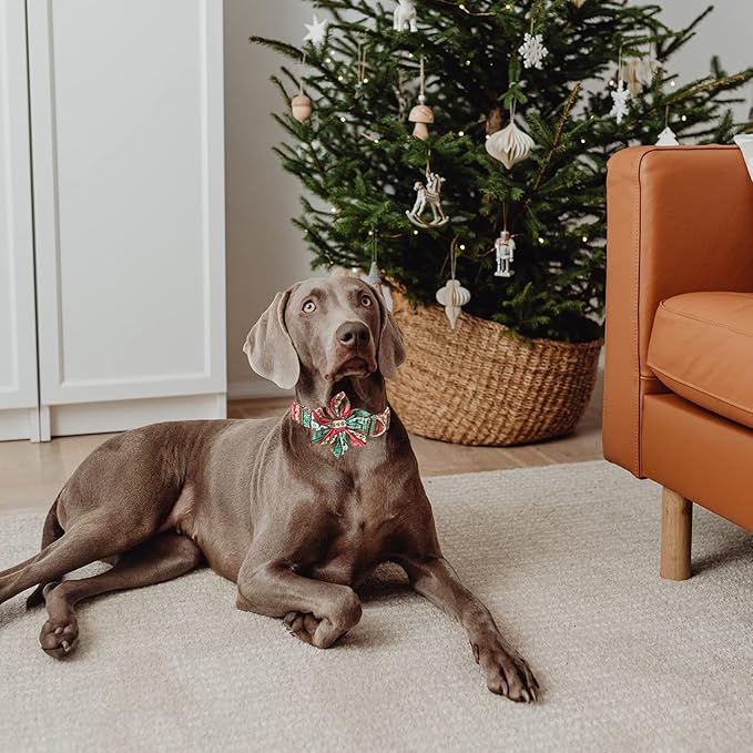 MR. CHUBBYFACE Christmas Plaid Flower Dog Collar for Boy Girl Dogs Adjustable Red Green Dog Collar with Flower for Small Medium Large Dogs