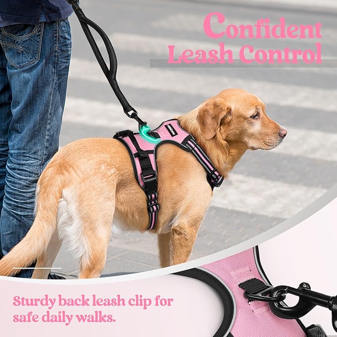 rabbitgoo Dog Harness, No-Pull Pet Harness with 2 Leash Clips, Adjustable Soft Padded Dog Vest, Reflective No-Choke Pet Oxford Vest with Easy Control Handle for Small Dogs, Pink, S