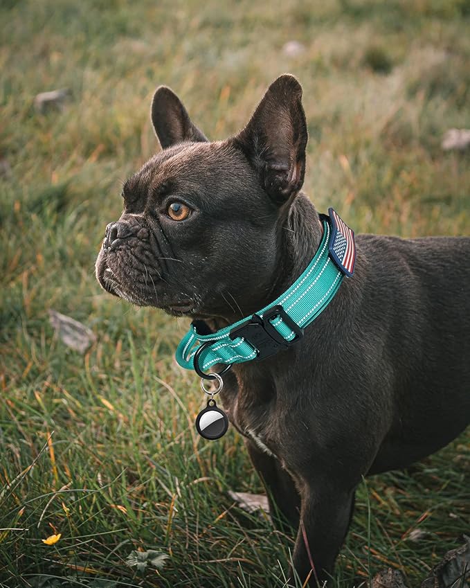 AUBELL Tactical Dog Collar - Adjustable Military Training Nylon Reflective Collar with Handle and Heavy Duty Durable Metal Buckle for Medium Large Dogs, with Airtag Holder and Patches(Teal, L)