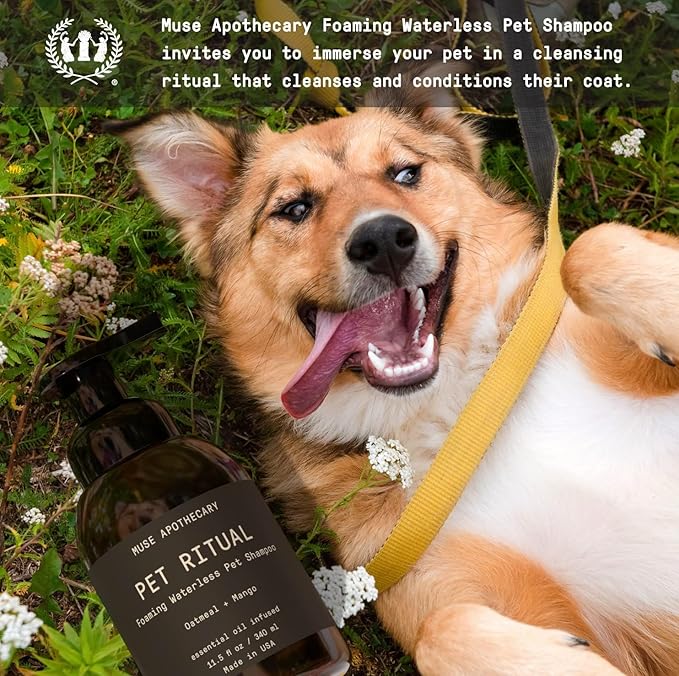 Muse Apothecary Pet Ritual Foaming Waterless Shampoo for Dogs, Waterless Dog Shampoo Foam, No Rinse Dog Shampoo, Waterless Dog Shampoo for Large Dogs - Essential Oils Infused, 11.5oz Oatmeal + Mango