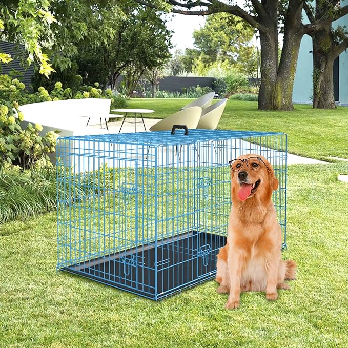 PayLessHere Large Dog Crate Kennel for Medium Large Dogs Metal Dog Cage Double-Door Folding Travel Indoor Outdoor Puppy Playpen with Divider and Handle Plastic Tray (42 Inch, Blue)