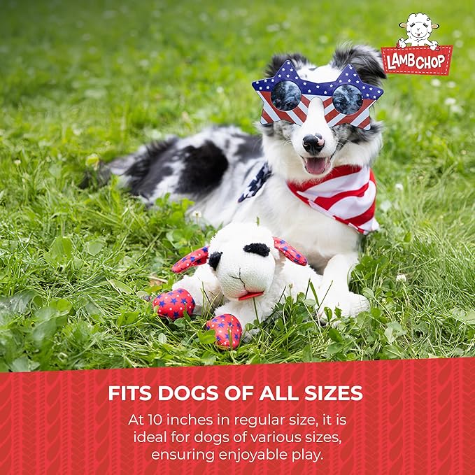 Multipet Mini Lamb Chop Officially Licensed, Plush, Squeak Pet Toy (White, 10')