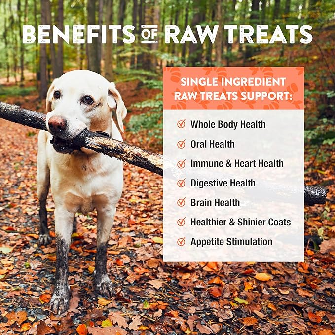 Northwest Naturals Raw Rewards Freeze-Dried Shrimp Treats for Dogs and Cats - Bite-Sized Pieces - Healthy, 1 Ingredient, Human Grade Pet Food, All Natural - 1 Oz (Pack of 3)