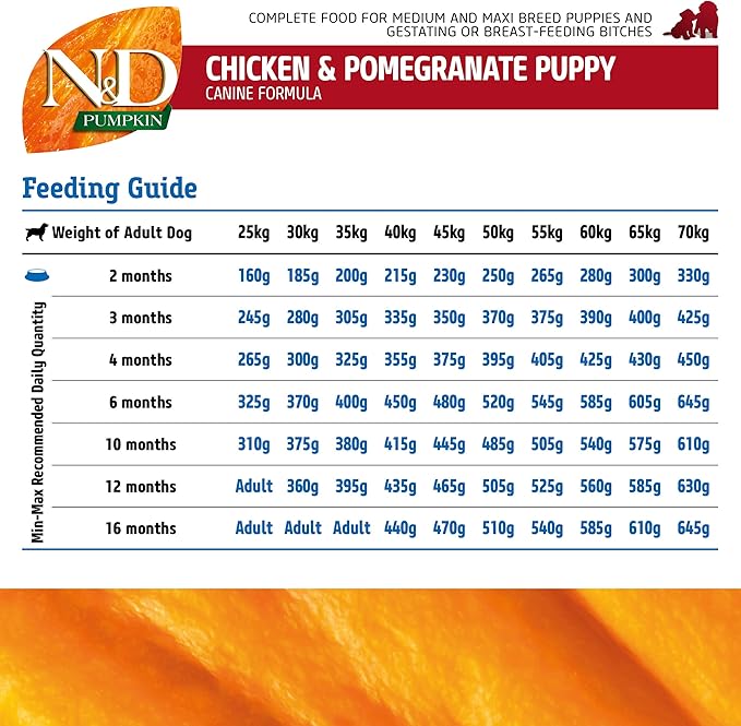 Chicken, Pumpkin and Pomegranate Puppy Medium & Maxi