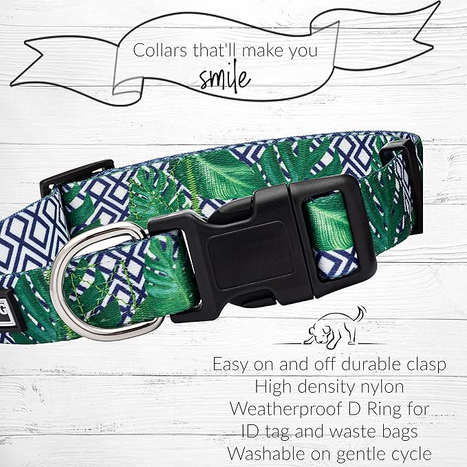 Lucky Love Dog Collar, Beautiful & Vivid Pattern X-Small Boy Dog Collars, Easy On & Off Clasp Accessory (Blue Laguna, XS)
