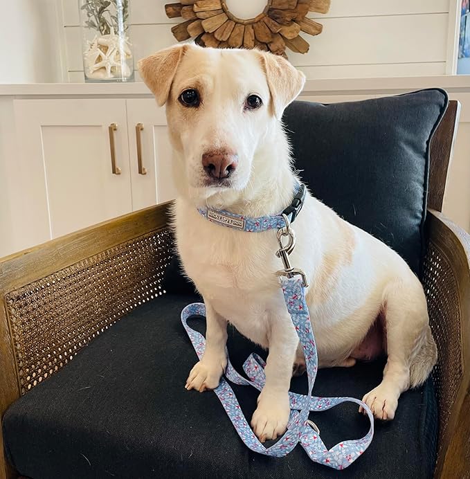 Lucky Love Dog Collar, Cute Winter Dog Collars for Large Dogs, Blue Snowflake Dog Collar for Male and Female Dogs, Part of Purchase Donated to Dog Rescue - (Winterblue Collar, XL)