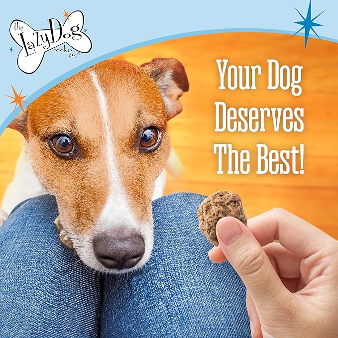 The Lazy Dog Cookie Co. - Home for The Holidays Soft Baked Dog Treats - Wheat, Corn & Soy Free - Limited Edition - Mouth Watering Maple Glazed Ham Flavored - 5 oz (HM)