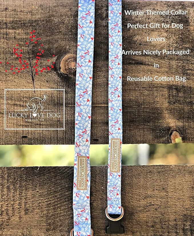 Lucky Love Dog Blue Winter Combo Set, Adjustuble Comfortable Dog Collar and Leash Set, Snowflake Christmas Combo Set for Medium Dogs - (Winterblue Combo, Medium)