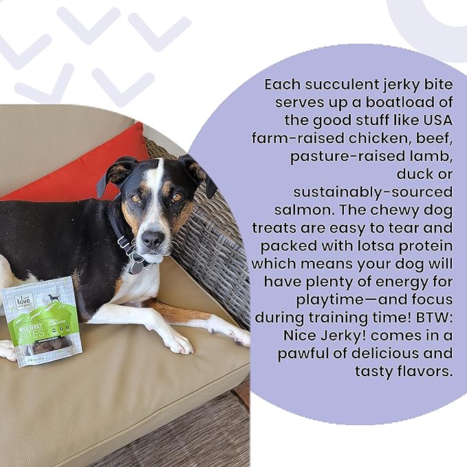 I and love and you Nice Jerky Bites - Chicken + Salmon - Grain Free, Real Beef, Training Treat, Chewy Dog Treats, Filler Free, 4oz