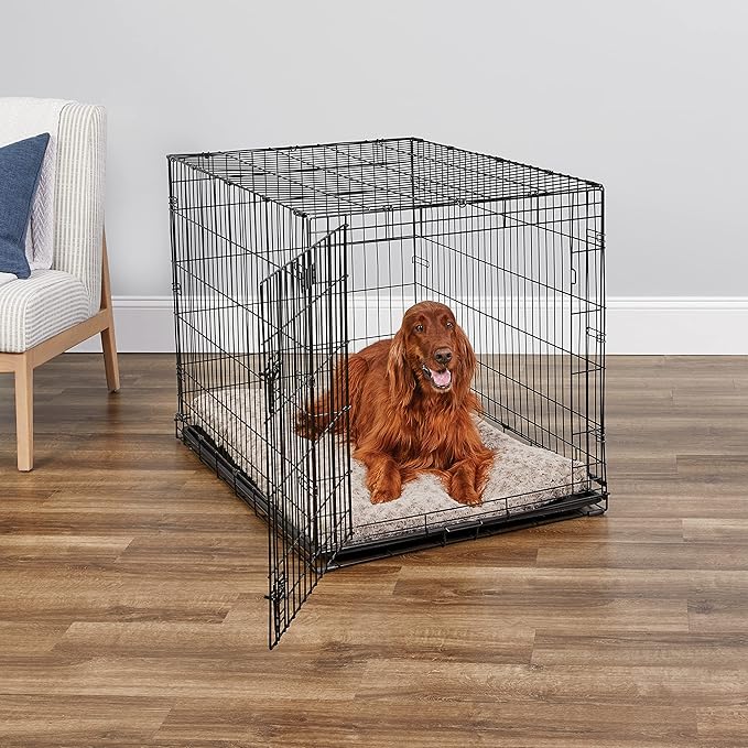 MidWest Homes for Pets Newly Enhanced Single & Double Door iCrate Dog Crate, Includes Leak-Proof Pan, Floor Protecting Feet, Divider Panel & New Patented Features