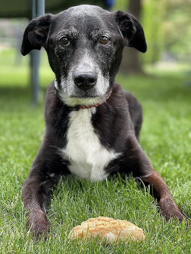 Devil Dog Pet Co. HimalayaFn Yak Chews Nuggets 1 Pound Bag – Natural & Nutrient Dense Dog Treats, Cheesy Himalayan Yak Puffs – Promotes Dental Health, Easy to Digest & Suitable for All Dogs