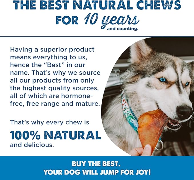 Best Bully Sticks All Natural USA Baked & Packed Pig Ears for Dogs - Single Ingredient Easily digestible 100% Pork Dog Chew Treats - Great for Puppies, Small, Medium, and Large Dogs - 25 Pack