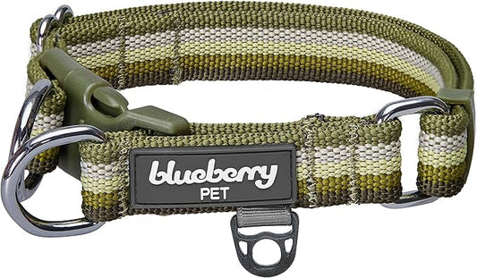 Blueberry Pet 3M Reflective Dog Collars | Adjustable Dog Collar w/Multi-Colored Stripe - Olive | Nylon Pet Collars for Dogs & Refflective Dog Collar for Small Dogs