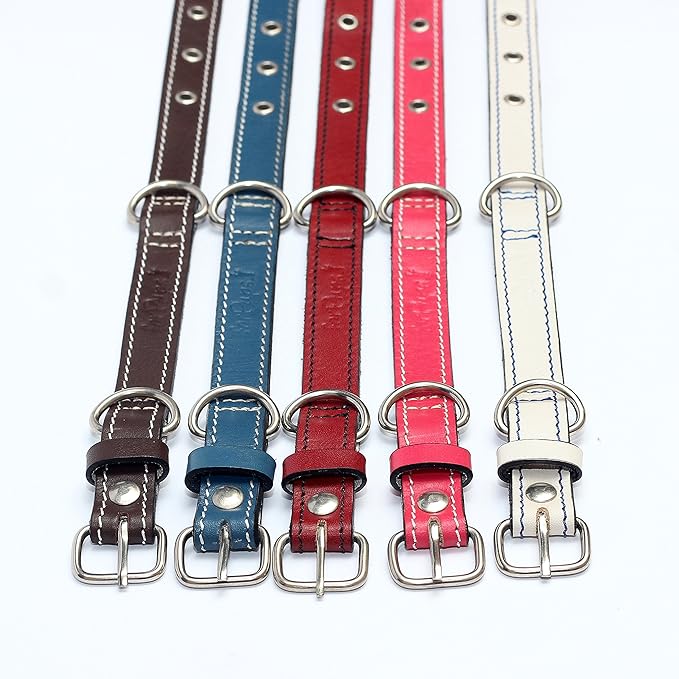 Premium Leather Collars with Stainless Steel Buckles (9"-12", Blue)