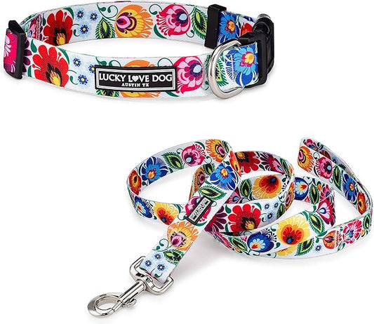 Lucky Love Dog - Easy Click Buckle Dog Collar with Leash Set Combo, Durable & Comfortable Collar for Male & Female Dogs, Pet Collar for Small to Large Dogs, Secure Fit - Ladybird Combo, Medium