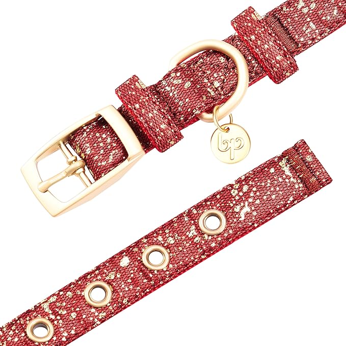 Blueberry Pet 4 Colors Glam Life Gold Stamping Lace Adjustable Dog Collar in True Red, Neck 9-12.5", for Small Breed