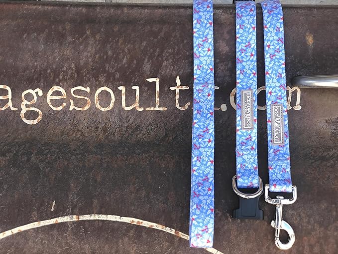 Lucky Love Dog Winter Themed Martingale Collar and Leash Set, Premium No Slip Collar and Leash Set, Snowflake Christmas Martingale Collar for Large Dogs - (Winterblue No Slip, L - Combo)