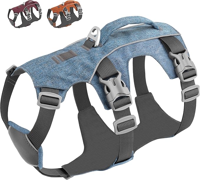 Escape Proof Dog Harness with Handle - Reflective Dog Vest, Breathable Soft Full Body Pet Harness for Small Medium Dogs Walking, Training (Blue, XS)