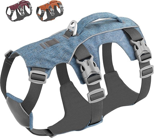 Escape Proof Dog Harness with Handle - Reflective Dog Vest, Breathable Soft Full Body Pet Harness for Small Medium Dogs Walking, Training (Blue, XS)