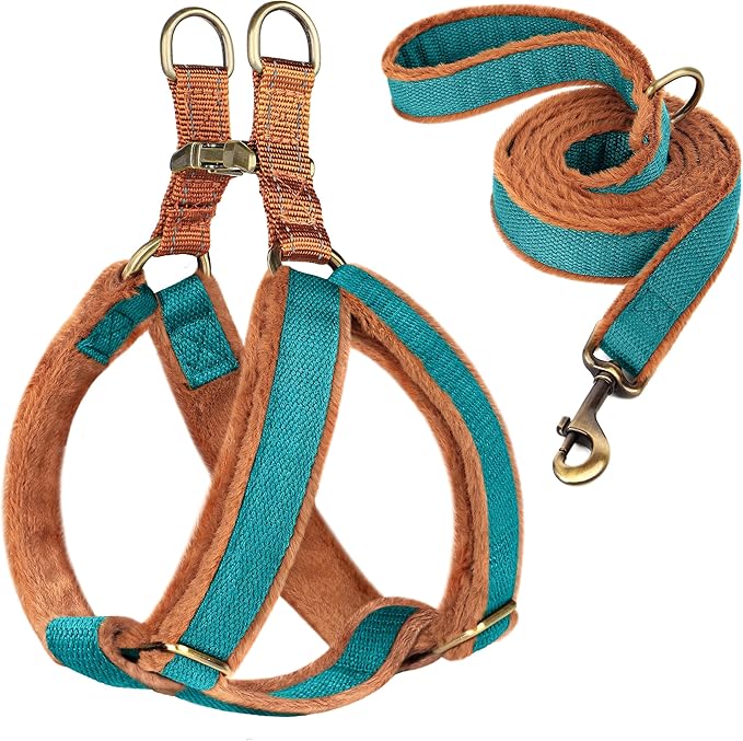 Beirui Soft Small Dog Harness and Leash Set-Adjustable Step in Dog Harness for Small Dogs-Easy Walk Dog Harness Small Sized Dog-Warm No Pull Dog Harness and Leash Used in Autumn Winter(Blue,S)