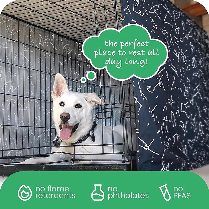 Molly Mutt Rocketman Dog Crate Cover, 100% Cotton Canvas Cover with 2 Roll-Up Panels, Ideal for Dog or Cat Crate, Durable, Washable, and Free of Harmful Chemicals, 30" x 21" x 24"