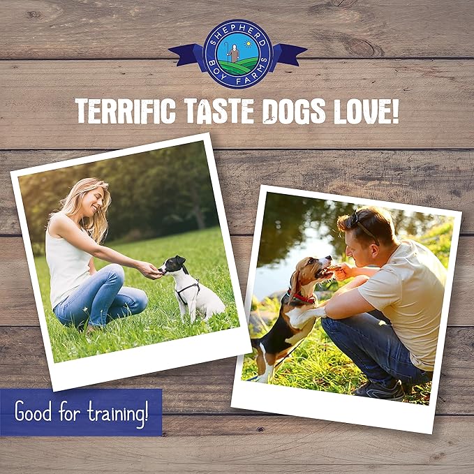 Freeze Dried Dog and Cat Treats, Minnows, All Natural Single Ingredient Freeze-Dried Dog Treat & Dog Snacks, Made in USA, High in Protein, Essential Nutrition of Raw Dog Food, 2oz