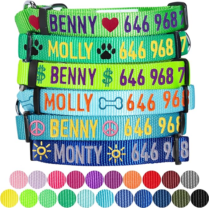 Blueberry Pet Essentials Personalized Martingale Safety Training Dog Collar, Mint Blue, Medium, Adjustable Customized ID Collars for Dogs Embroidered with Pet Name & Phone Number