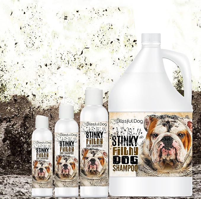 The Blissful Dog Stinky Filthy Dog Shampoo, 4-Ounce, Carmel (SH-DD-4OZ)