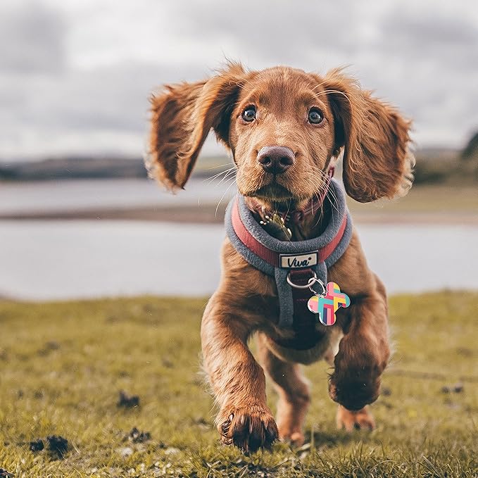 QR Code Dog Tag,Dog Tags Personalized for Pets, Custom Dog Name ID Tags Personalized Dog and Cat Tags -Free Online&Scan QR Receive Instant Location Alert Email