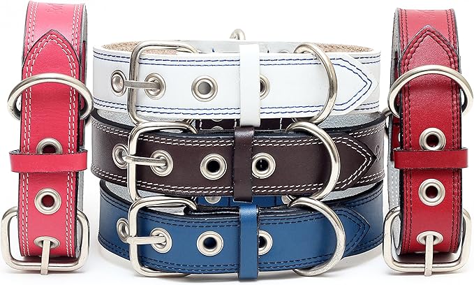 Premium Leather Collars with Stainless Steel Buckles (18"-21", Blue)