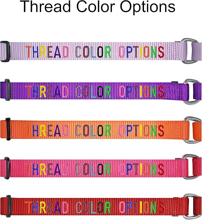 Blueberry Pet Essentials Personalized Martingale Safety Training Dog Collar, French Pink, Medium, Adjustable Customized ID Collars for Dogs Embroidered with Pet Name & Phone Number