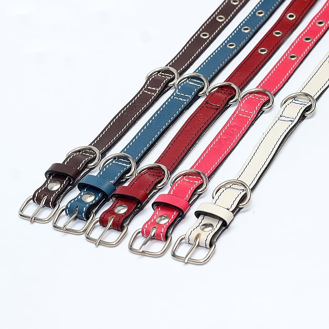 Premium Leather Collars with Stainless Steel Buckles (9"-12", Chocolate)