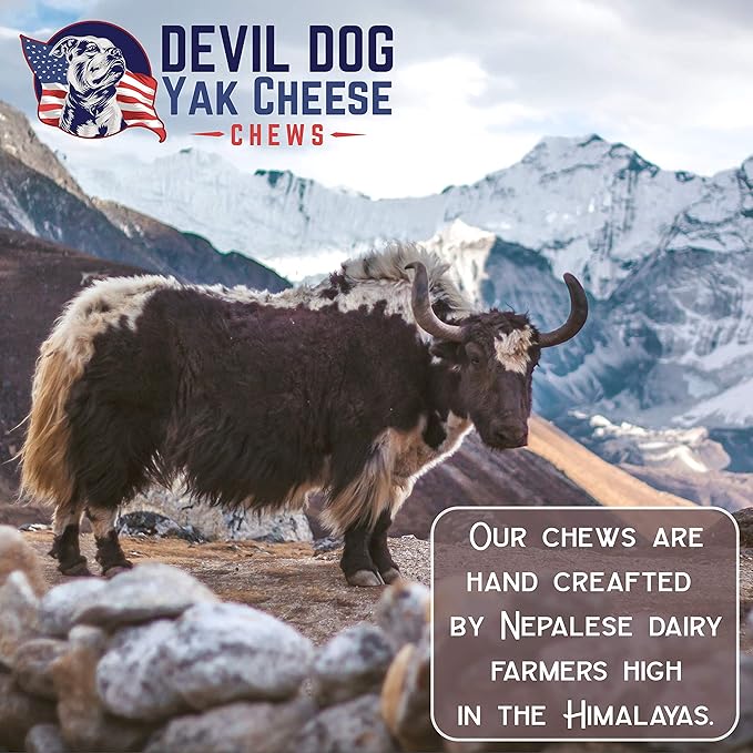 Devil Dog Pet Co. HimalayaFn Yak Chews Nuggets 1 Pound Bag – Natural & Nutrient Dense Dog Treats, Cheesy Himalayan Yak Puffs – Promotes Dental Health, Easy to Digest & Suitable for All Dogs