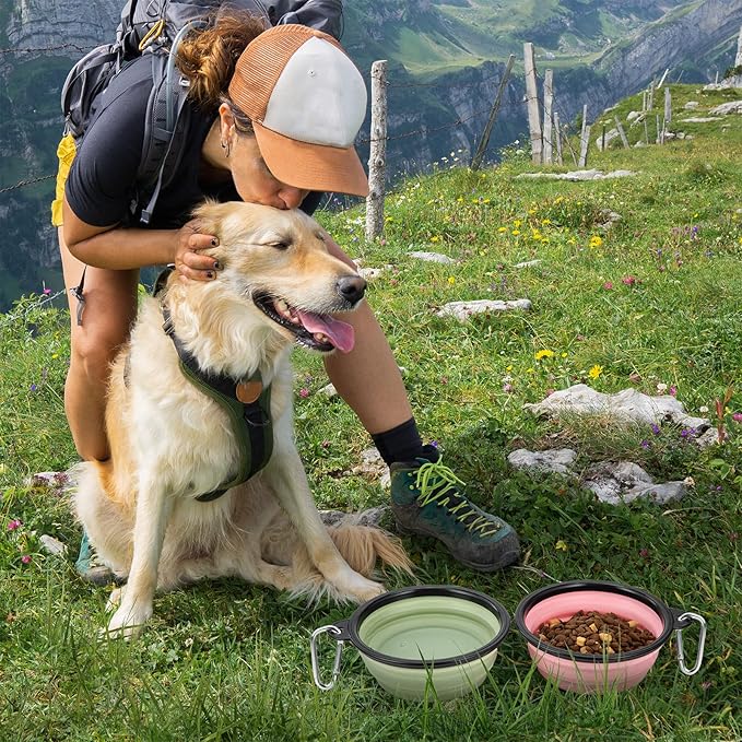 Dog Bowl Pet Collapsible Bowls, 2 Pack Collapsible Dog Water Bowls for Cats Dogs, Portable Pet Feeding Watering Dish for Walking Parking Traveling with 2 Carabiners (Large, Fairy Pink & Sprout Green)