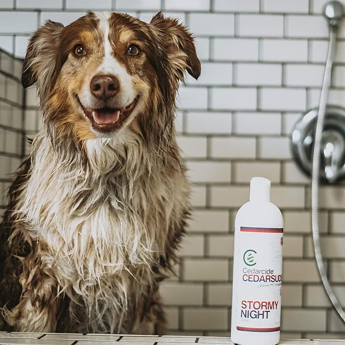 Cedarcide Cedarsuds Original Cedar Pet Shampoo (Quart) | Non-Toxic and Eco-Friendly | Cleans, and Moisturizes | Soft, Hydrating Coat for Pets | Removes Mats and Tangles