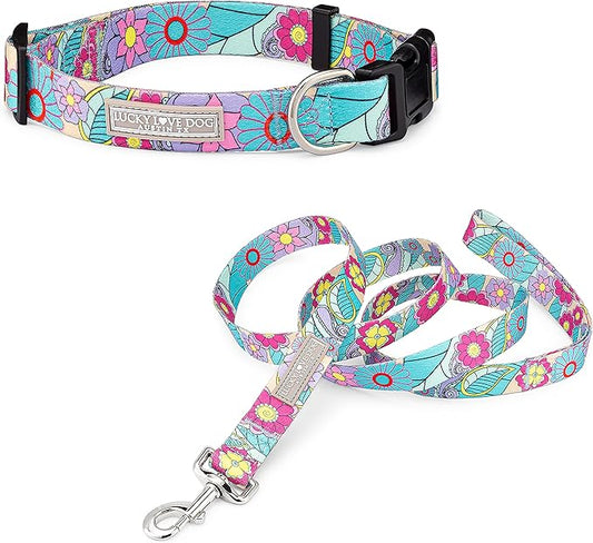 Lucky Love Dog Collar and Leash Combo, Cute Collar and Leash Set for Large Female Dogs, Part of Purchase Donated to Rescue (Large, Caroline, Combo)
